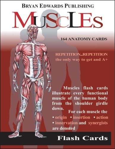 The Muscles (Flash Cards) (Flash Anatomy)