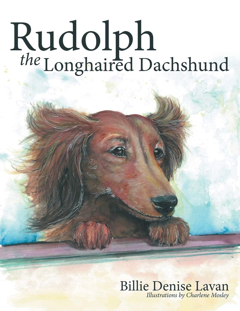 Rudolph the Longhaired Dachshund