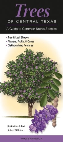 Trees of Central Texas: A Guide to Common Native Species (Quick Reference Guides)