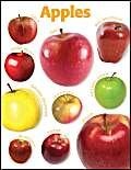 Scholastic TF2447 Apples Photo Chart
