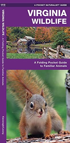 Virginia Wildlife: A Folding Pocket Guide to Familiar Animals (Wildlife and Nature Identification)