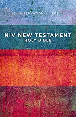 Outreach New Testament: New International Version, Red / Blue Stripes