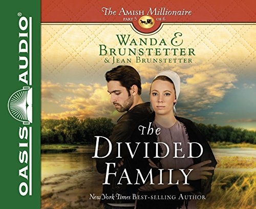 The Divided Family (Volume 5) (The Amish Millionaire)