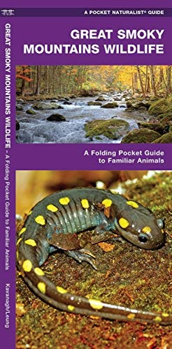 Great Smoky Mountains Wildlife: A Folding Pocket Guide to Familiar Animals (Wildlife and Nature Identification)