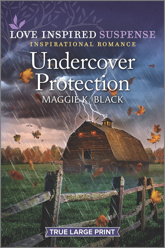 Undercover Protection (Desert Justice, 2)