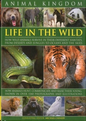 Animal Kingdom: Life in the Wild