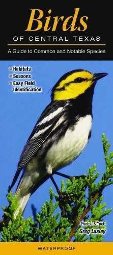 Birds of Central Texas: A Guide to Common & Notable Species (Quick Reference Guides)