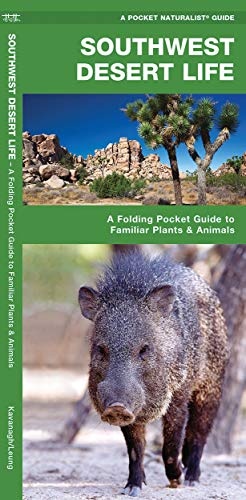 Southwest Desert Life: A Folding Pocket Guide to Familiar Plants & Animals (Wildlife and Nature Identification)