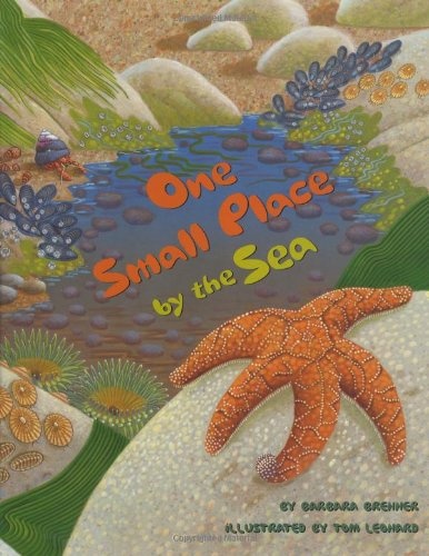 One Small Place by the Sea