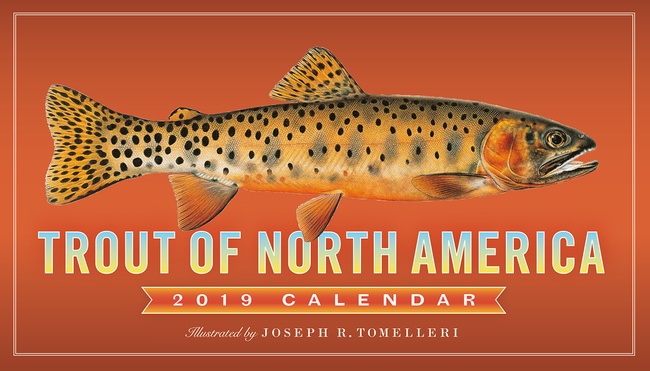 Trout of North America Wall Calendar 2019 [14" x 8" Inches]