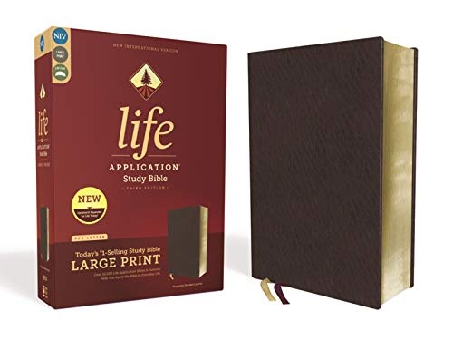 NIV, Life Application Study Bible, Third Edition, Large Print, Bonded Leather, Burgundy, Red Letter