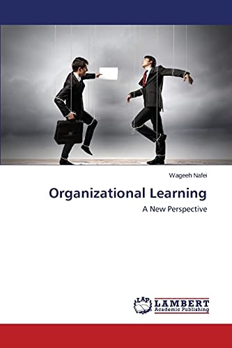 Organizational Learning: A New Perspective