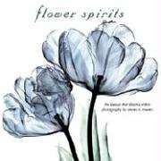 FLOWER SPIRITS; The Beauty That Blooms Within