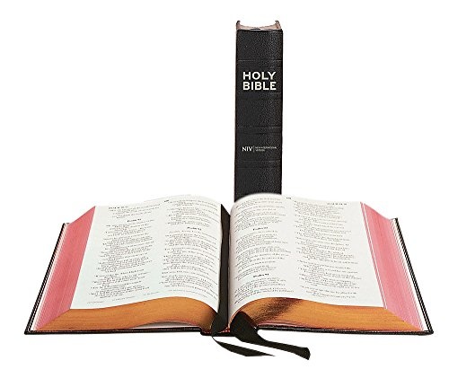 The Holy Bible: New International Version.