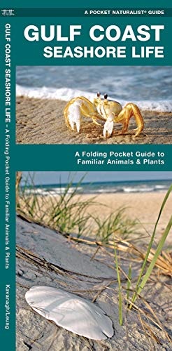 Gulf Coast Seashore Life: A Folding Pocket Guide to Familiar Animals and Plants (Wildlife and Nature Identification)