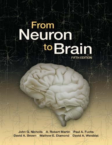From Neuron to Brain/ Neurons in Action Version 2