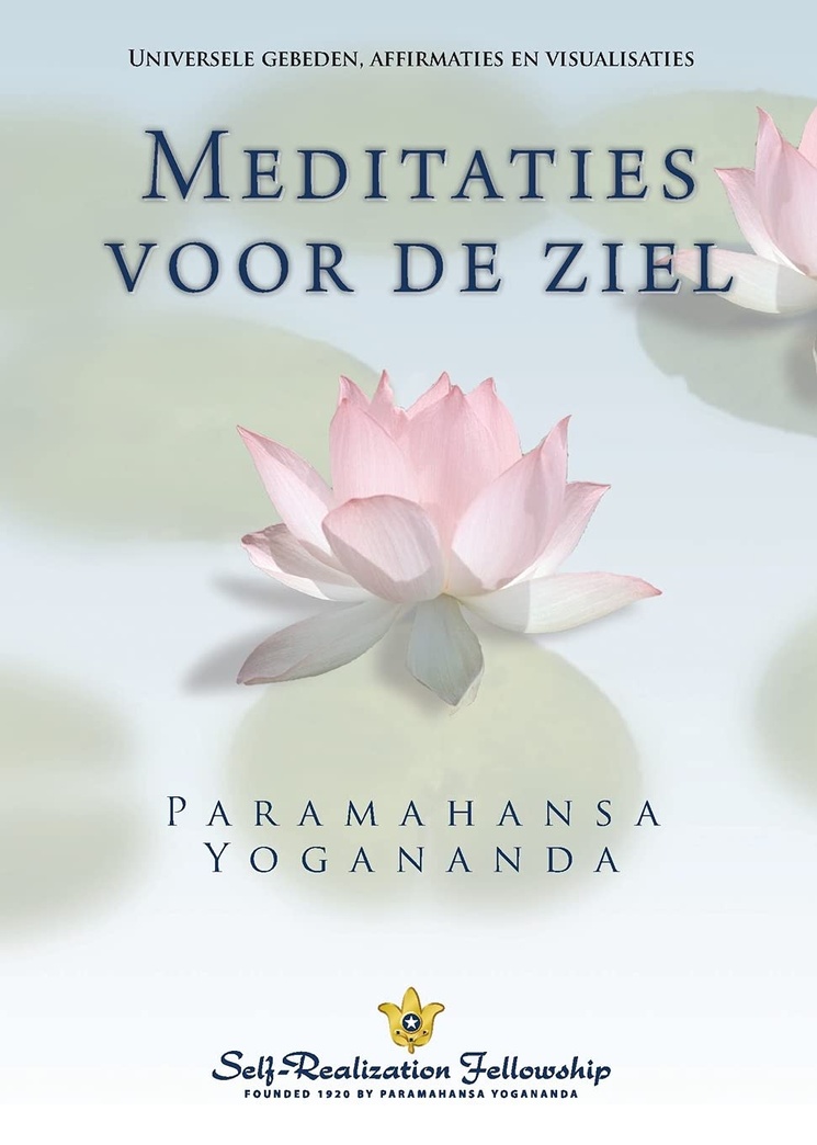 Metaphysical Meditations (Dutch) (Dutch Edition)