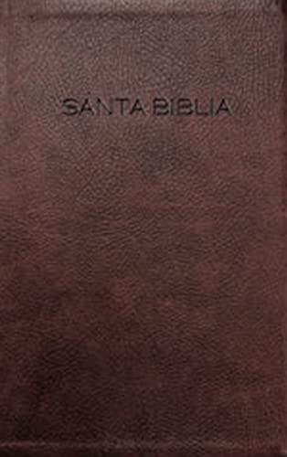 Biblia NVI (Spanish Edition)