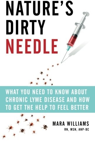Nature's Dirty Needle: What You Need to Know About Chronic Lyme Disease and How to Get the Help To Feel Better