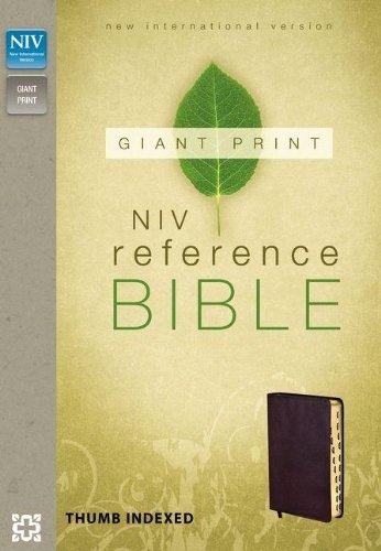 NIV, Reference Bible, Giant Print, Imitation Leather, Burgundy, Indexed