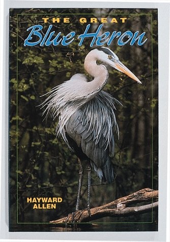 The Great Blue Heron (Camp & Cottage Wildlife Collection)