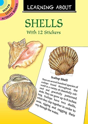 Learning About Seashells (Dover Little Activity Books)