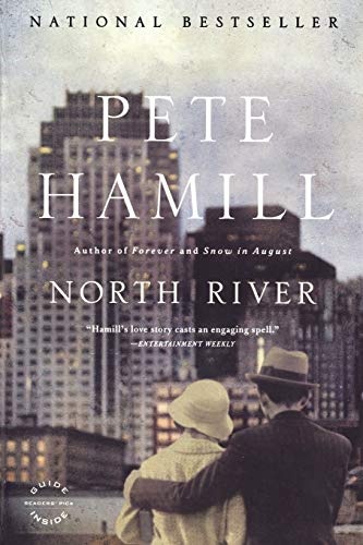 North River: A Novel
