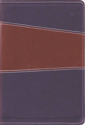 The Message//REMIX (Leather-Look, Brown/Navy): The Bible in Contemporary Language