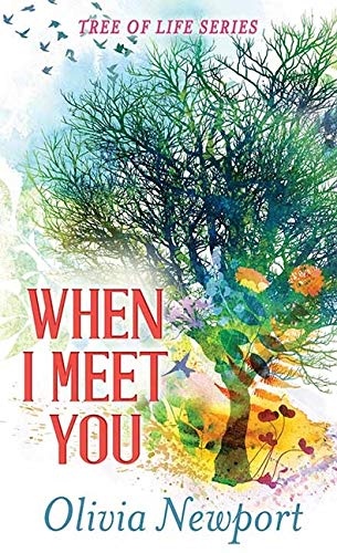 When I Meet You: Tree of Life Series (Nantucket Love Story)