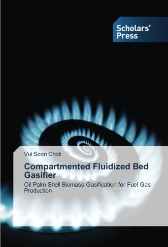 Compartmented Fluidized Bed Gasifier: Oil Palm Shell Biomass Gasification for Fuel Gas Production