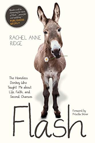 Flash: The Homeless Donkey Who Taught Me about Life, Faith, and Second Chances (Flash the Donkey)