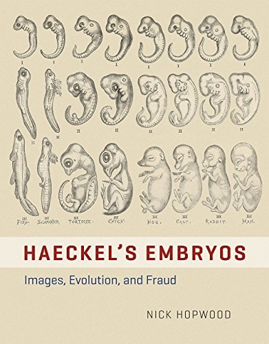 Haeckel's Embryos: Images, Evolution, and Fraud