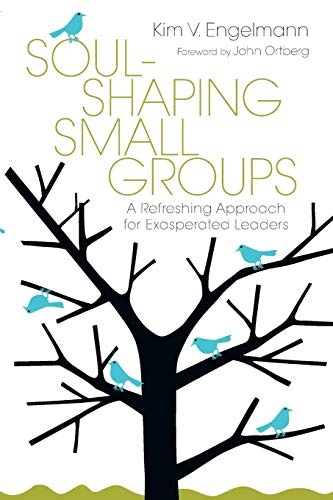 Soul-Shaping Small Groups: A Refreshing Approach for Exasperated Leaders