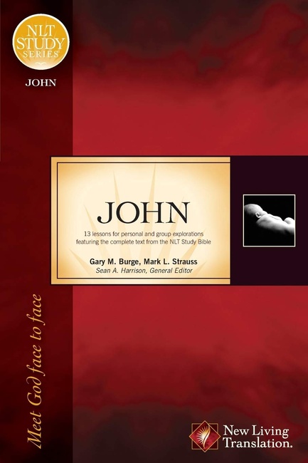 John: Meet God Face to Face (NLT Study Series)
