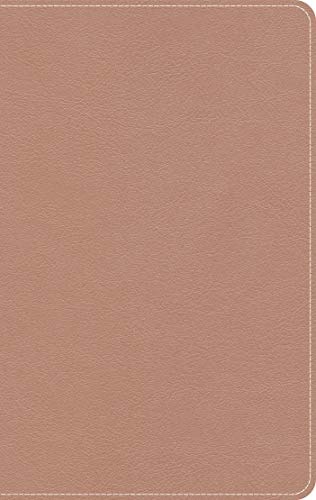 KJV On-The-Go Bible, Personal Size, Rose Gold LeatherTouch