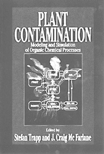 Plant Contamination: Modeling and Simulation of Organic Chemical Processes