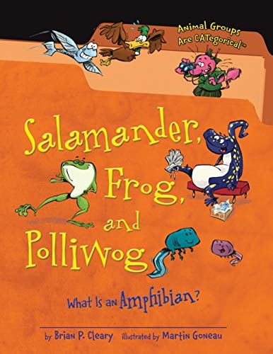 salamander-frog-and-polliwog-what-is-an-amphibian-animal-groups