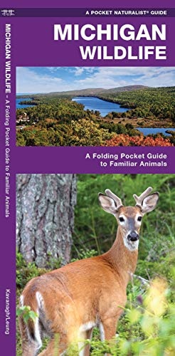 Michigan Wildlife: A Folding Pocket Guide to Familiar Animals (Wildlife and Nature Identification)