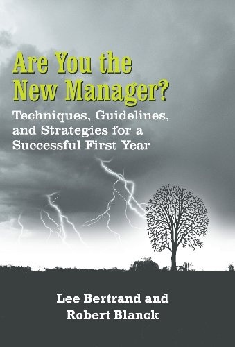 Are You the New Manager?: Techniques, Guidelines, and Strategies for a Successful First Year