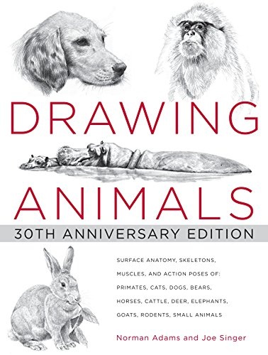 Drawing Animals: 30th Anniversary Edition - Norman Adams, Joe Singer ...