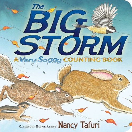The Big Storm: A Very Soggy Counting Book (Classic Board Books)