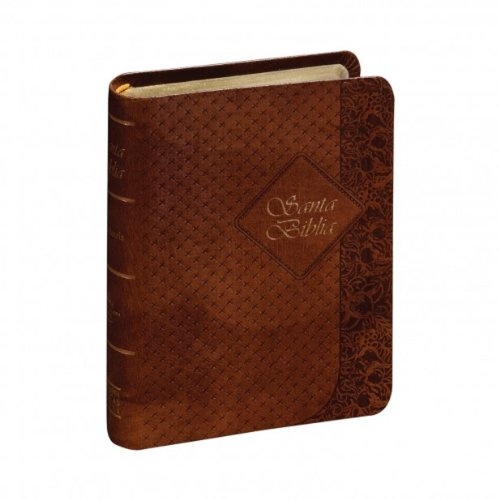 RVR60 Bible - Coffee Color Cover (Spanish Edition)