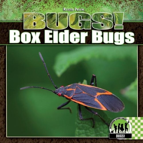 Box Elder Bugs (Checkerboard Science Library: Bugs!)