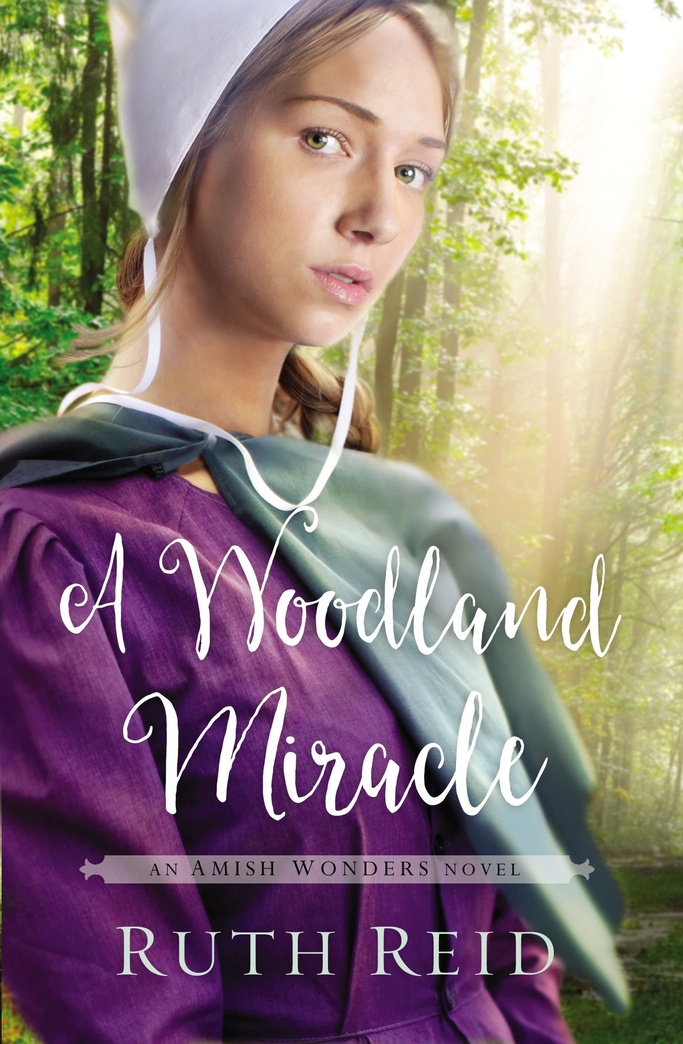 A Woodland Miracle (The Amish Wonders Series)