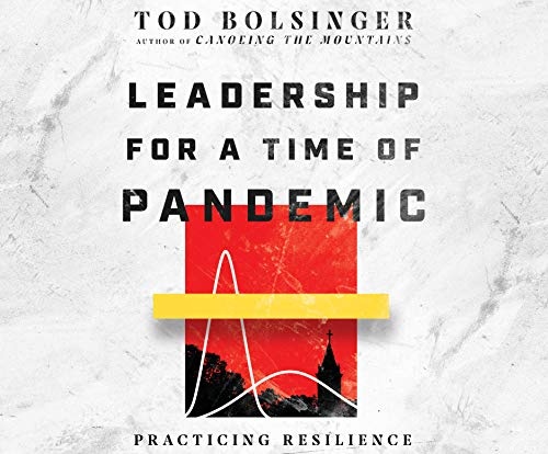 Leadership for a Time of Pandemic: Practicing Resilience