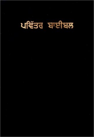 Punjabi Holy Bible (Punjabi Edition)