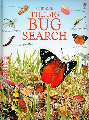 The Big Bug Search (Great Searches)