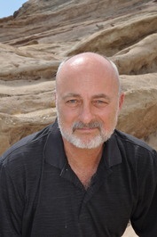 David Brin