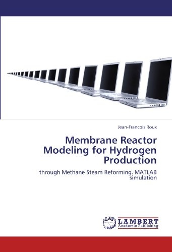 Membrane Reactor Modeling for Hydrogen Production: through Methane Steam Reforming. MATLAB simulation