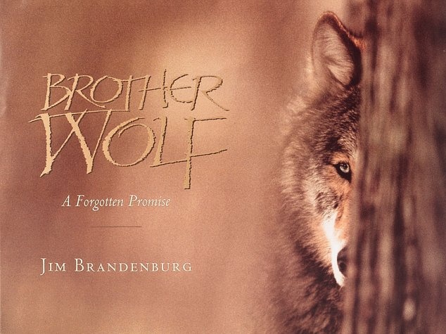 Brother Wolf: A Forgotten Promise